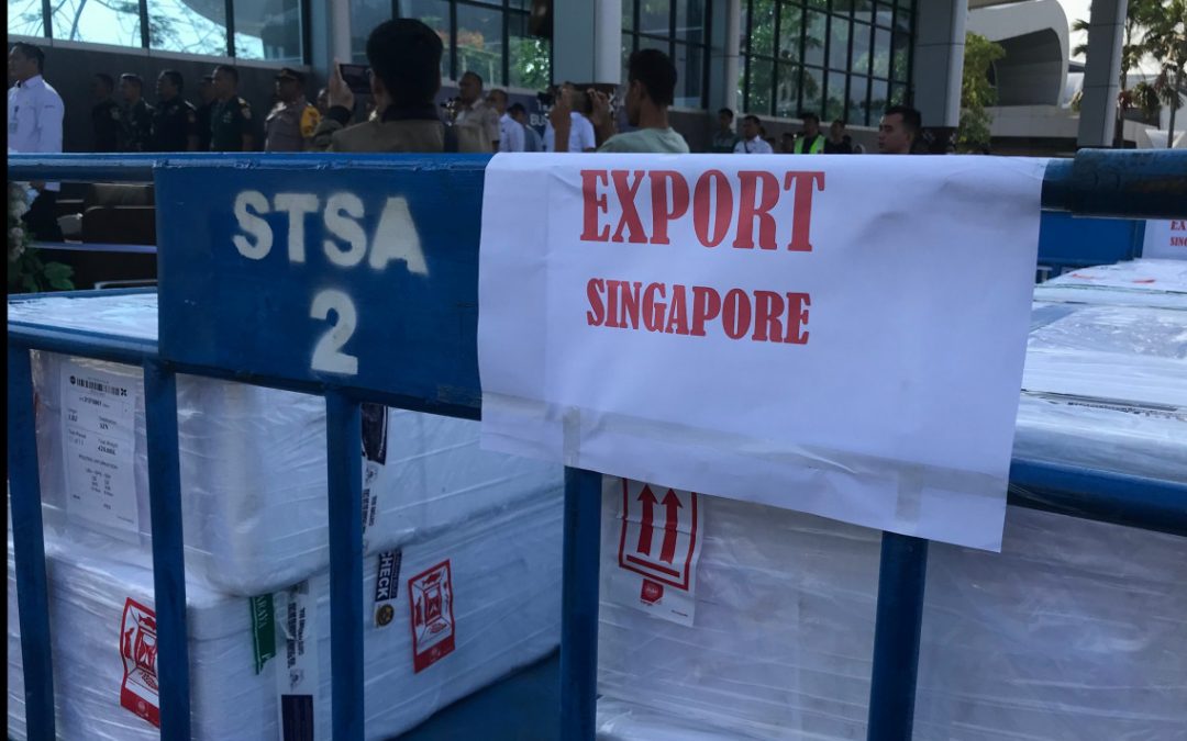 Laboan Bajo Pertama Kalinya Ekspor Ikan Ke Singapura dan Malaysia